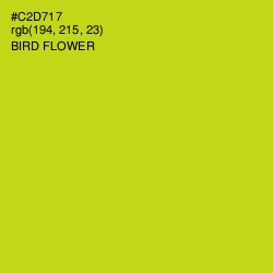 #C2D717 - Bird Flower Color Image