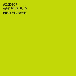 #C2D807 - Bird Flower Color Image