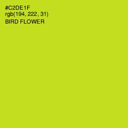 #C2DE1F - Bird Flower Color Image