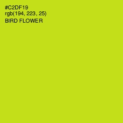 #C2DF19 - Bird Flower Color Image