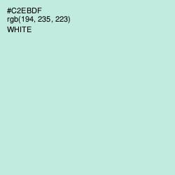 #C2EBDF - Skeptic Color Image
