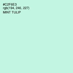 #C2F6E3 - Mint Tulip Color Image