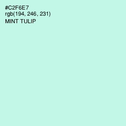 #C2F6E7 - Mint Tulip Color Image