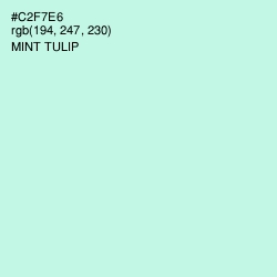 #C2F7E6 - Mint Tulip Color Image