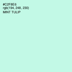 #C2F8E6 - Mint Tulip Color Image