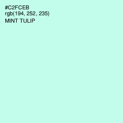 #C2FCEB - Mint Tulip Color Image