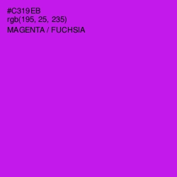 #C319EB - Magenta / Fuchsia Color Image