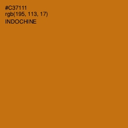 #C37111 - Indochine Color Image