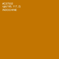 #C37502 - Indochine Color Image