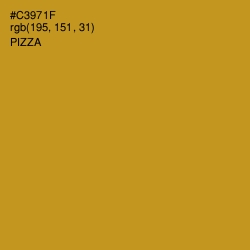 #C3971F - Pizza Color Image