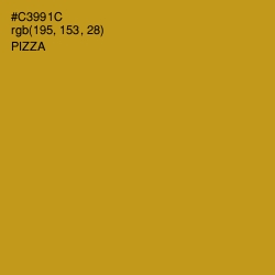 #C3991C - Pizza Color Image