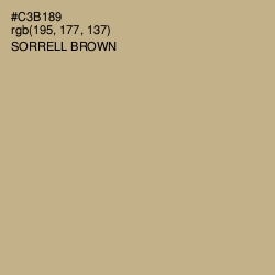 #C3B189 - Sorrell Brown Color Image