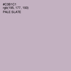 #C3B1C1 - Pale Slate Color Image