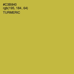 #C3B840 - Turmeric Color Image