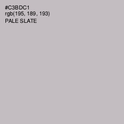 #C3BDC1 - Pale Slate Color Image