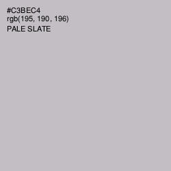 #C3BEC4 - Pale Slate Color Image