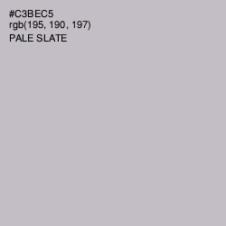 #C3BEC5 - Pale Slate Color Image