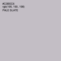 #C3BEC6 - Pale Slate Color Image