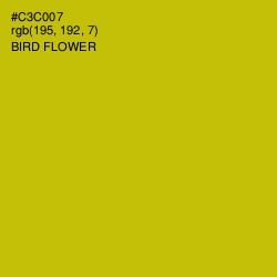 #C3C007 - Bird Flower Color Image