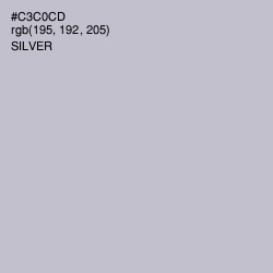 #C3C0CD - Silver Color Image