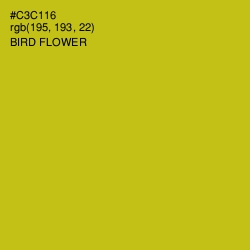 #C3C116 - Bird Flower Color Image
