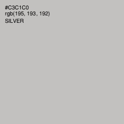 #C3C1C0 - Silver Color Image