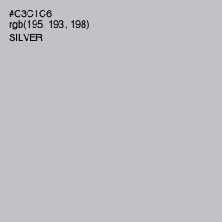 #C3C1C6 - Silver Color Image