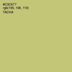 #C3C677 - Tacha Color Image
