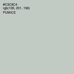 #C3C9C4 - Pumice Color Image