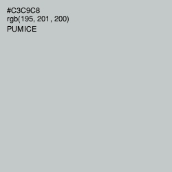 #C3C9C8 - Pumice Color Image