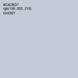 #C3CBD7 - Ghost Color Image