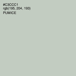 #C3CCC1 - Pumice Color Image