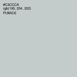 #C3CCCA - Pumice Color Image