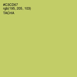 #C3CD67 - Tacha Color Image