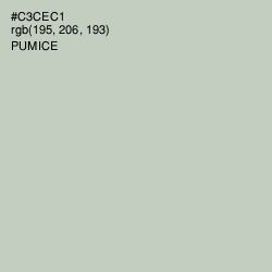 #C3CEC1 - Pumice Color Image