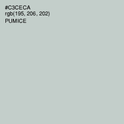 #C3CECA - Pumice Color Image