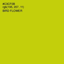 #C3CF0B - Bird Flower Color Image