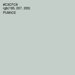 #C3CFC8 - Pumice Color Image