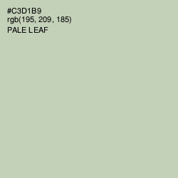 #C3D1B9 - Pale Leaf Color Image