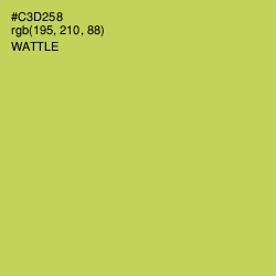 #C3D258 - Wattle Color Image