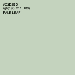 #C3D3BD - Pale Leaf Color Image