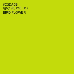 #C3DA0B - Bird Flower Color Image