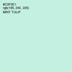 #C3F0E1 - Mint Tulip Color Image
