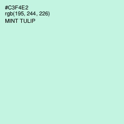 #C3F4E2 - Mint Tulip Color Image