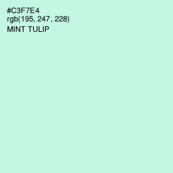 #C3F7E4 - Mint Tulip Color Image