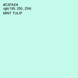 #C3FAEA - Mint Tulip Color Image