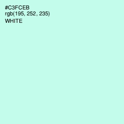 #C3FCEB - Mint Tulip Color Image