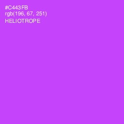 #C443FB - Heliotrope Color Image