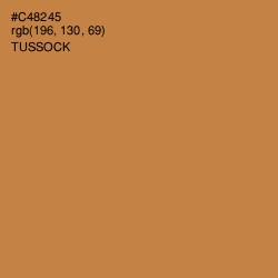 #C48245 - Tussock Color Image