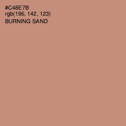 #C48E7B - Burning Sand Color Image